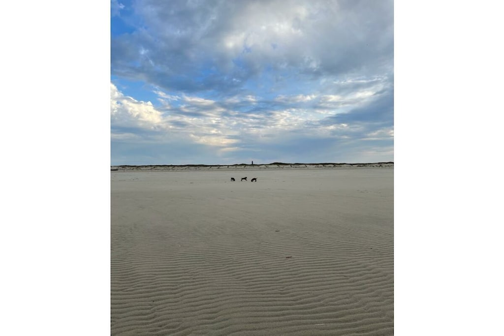 373279 - Niet-getagd