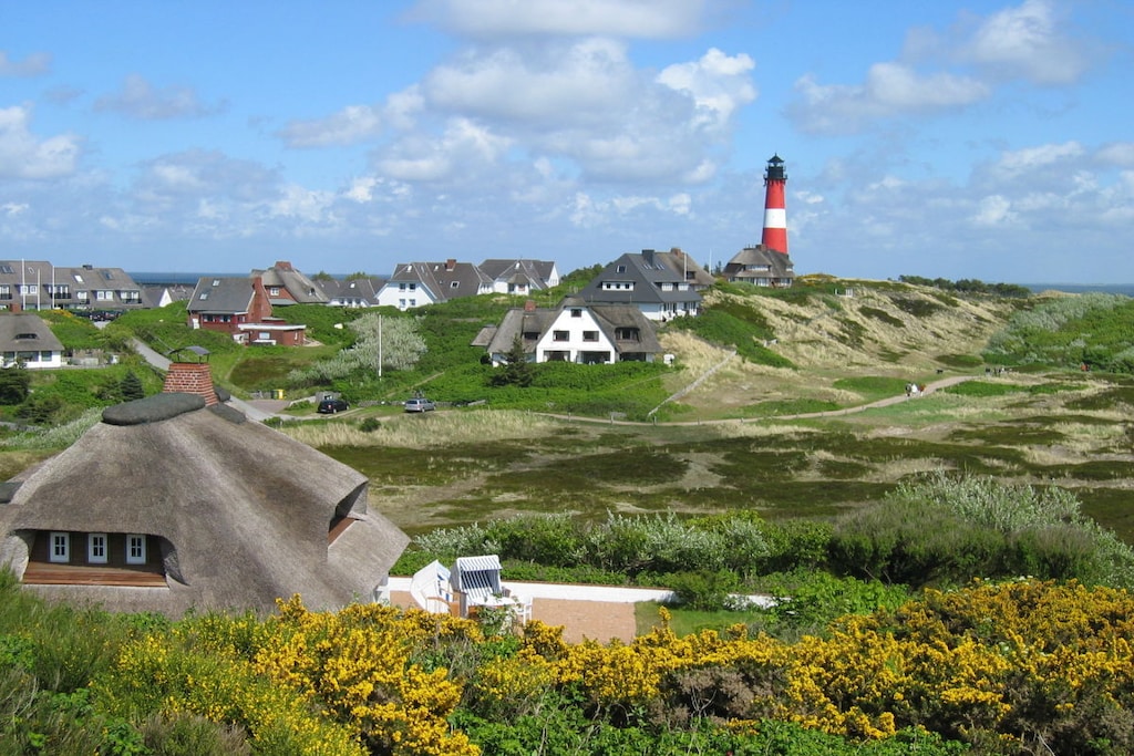 82752 - Niet-getagd