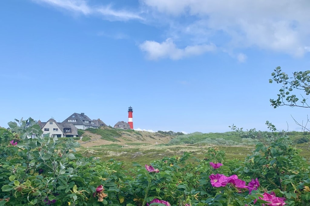 82752 - Niet-getagd