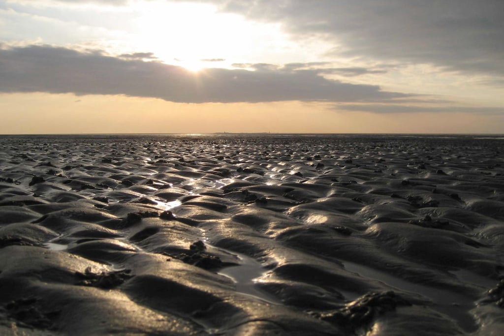 1361 - Niet-getagd