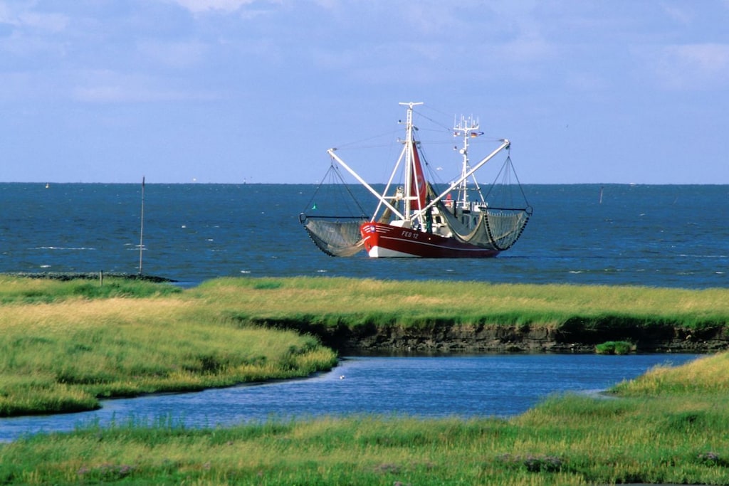 1361 - Niet-getagd