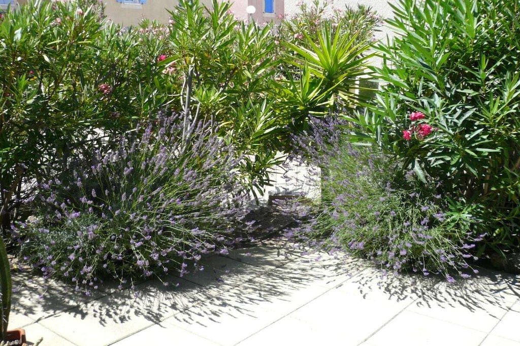 529220