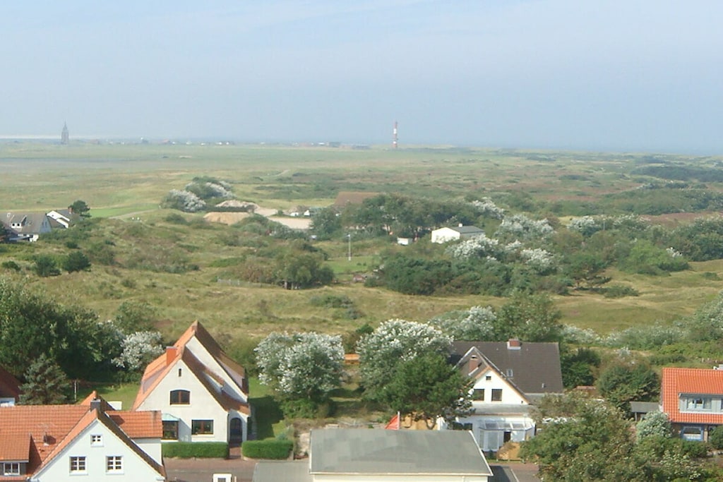 54448 - Non tagué