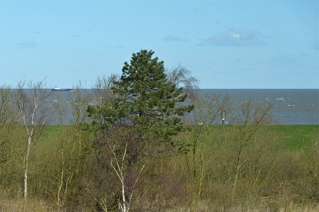 129460 - Non tagué