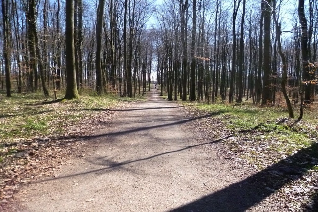 60632 - Niet-getagd