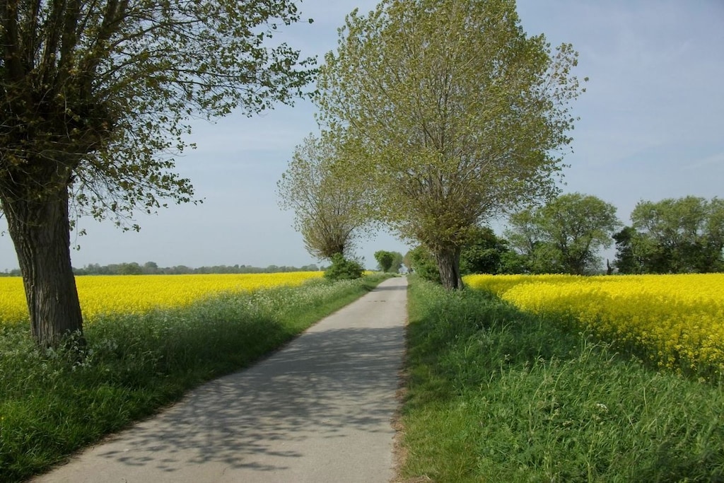 46497 - Niet-getagd