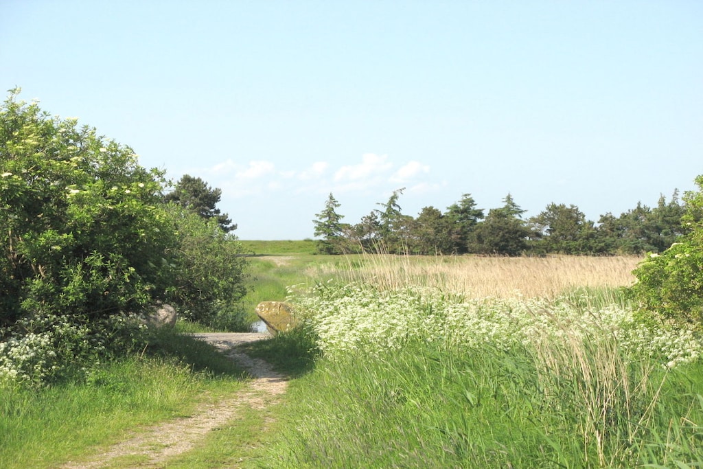 101930 - Niet-getagd