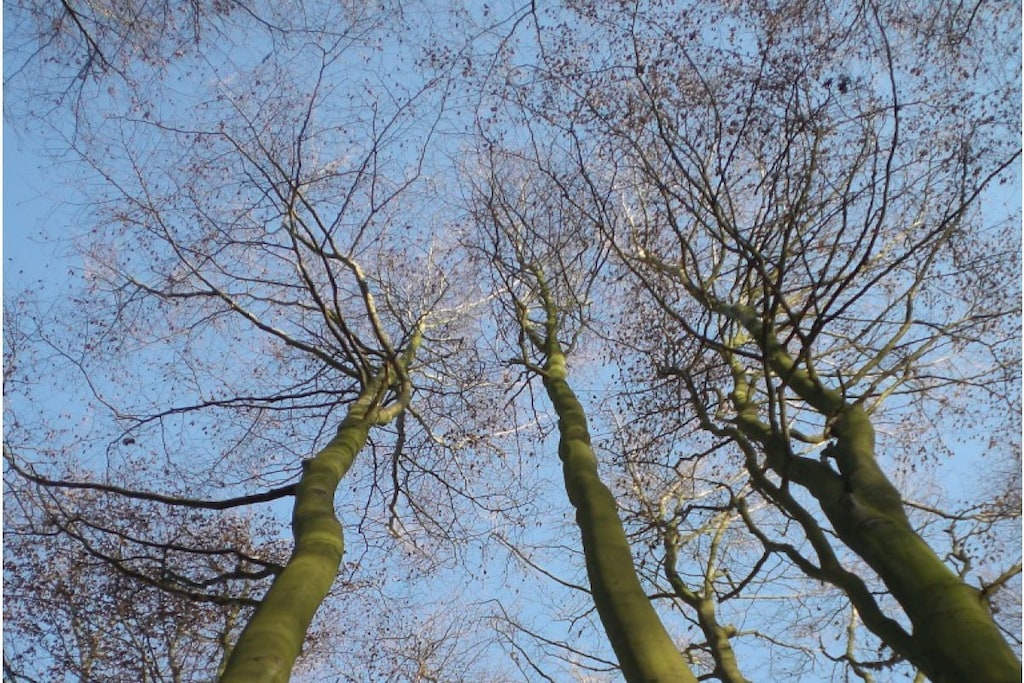 60628 - Niet-getagd