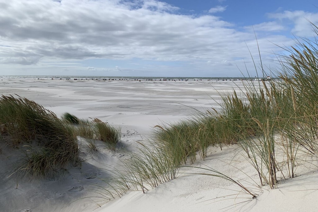 459148 - Niet-getagd