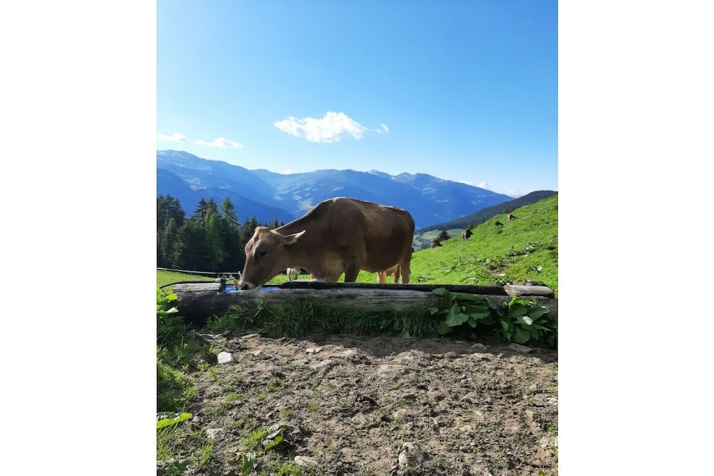 285058 - Niet-getagd