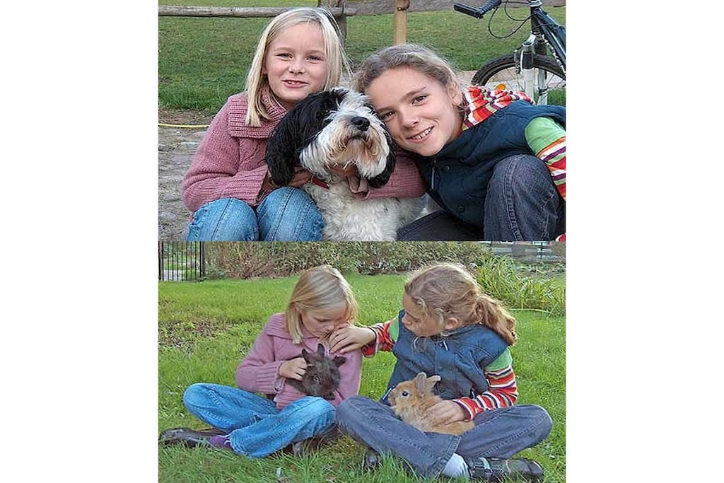 11286 - Niet-getagd