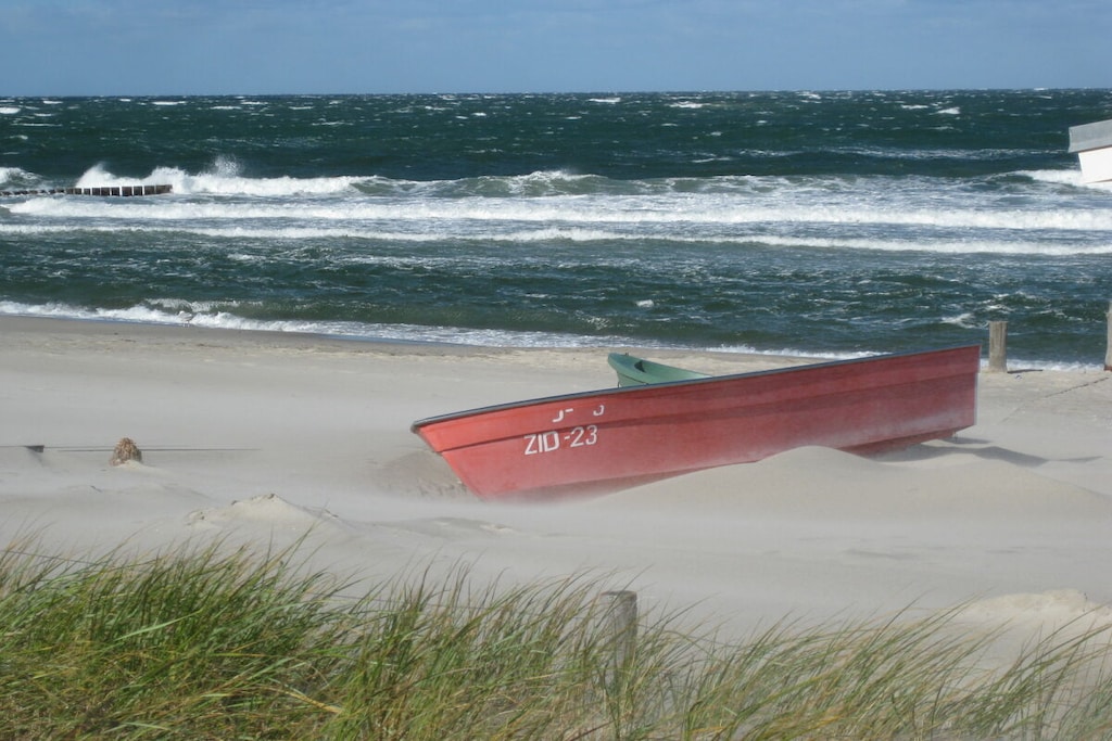 263215 - Non tagué