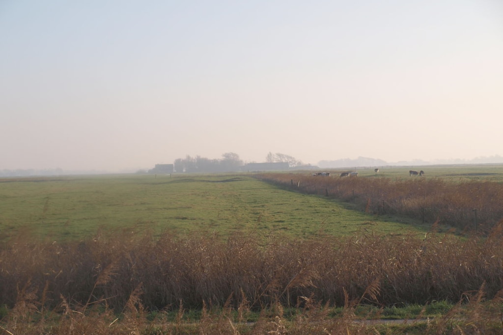 78880 - Niet-getagd