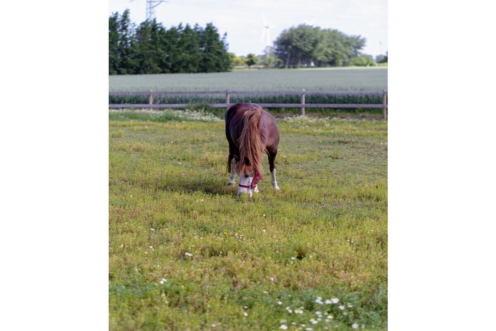 229900 - Niet-getagd