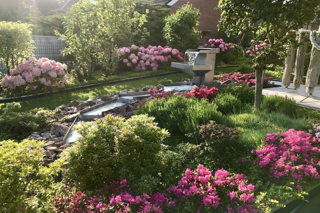 59545 - Non tagué