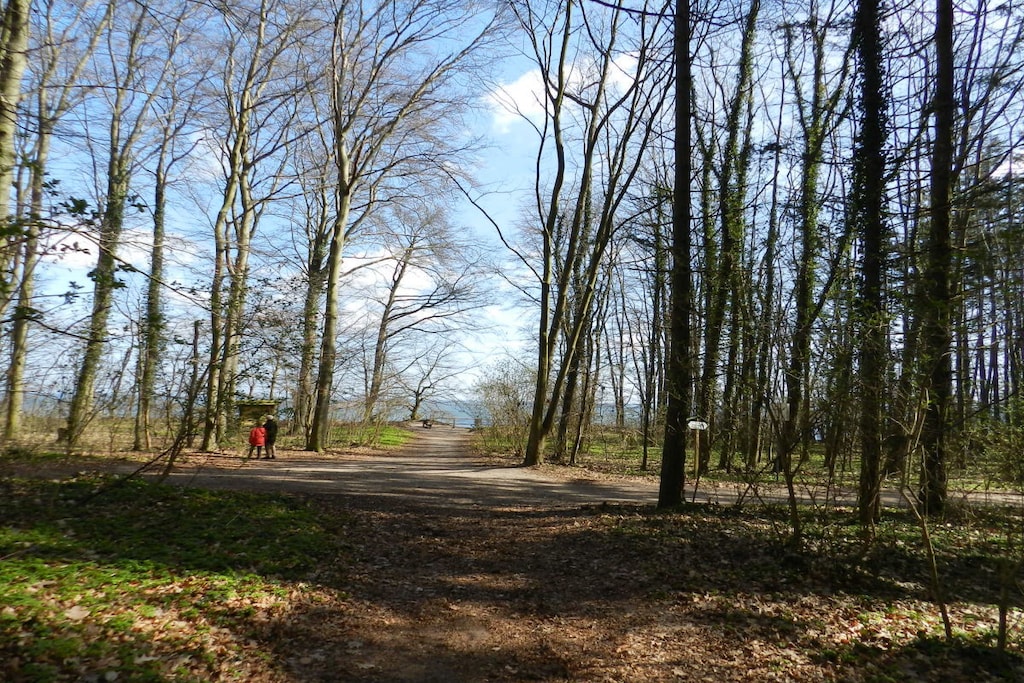 54498 - Niet-getagd