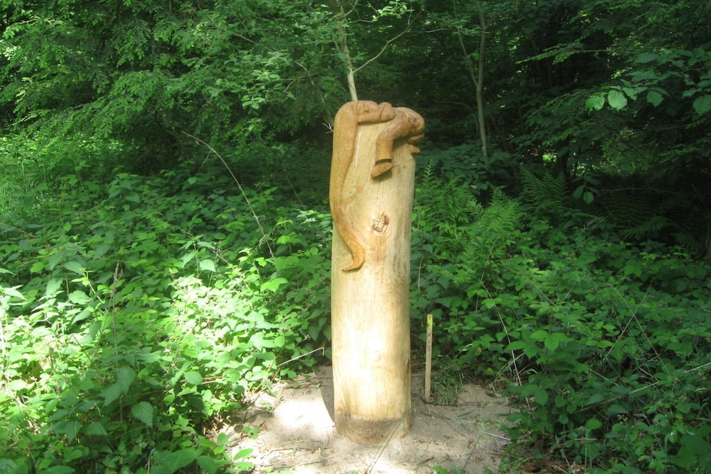 181453 - Niet-getagd