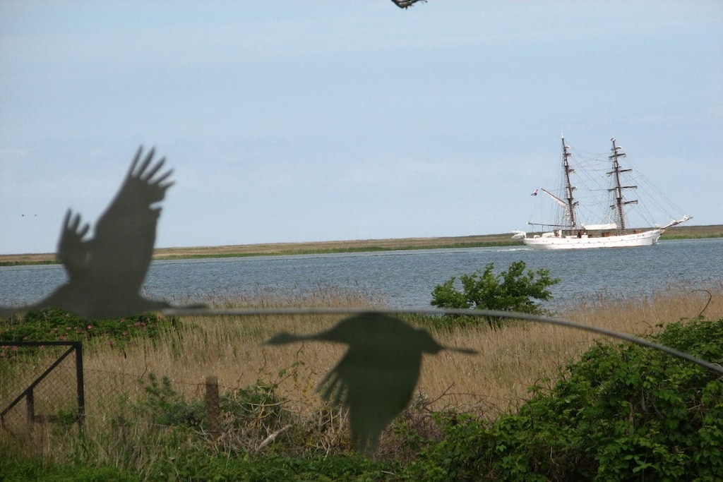 223770 - Niet-getagd