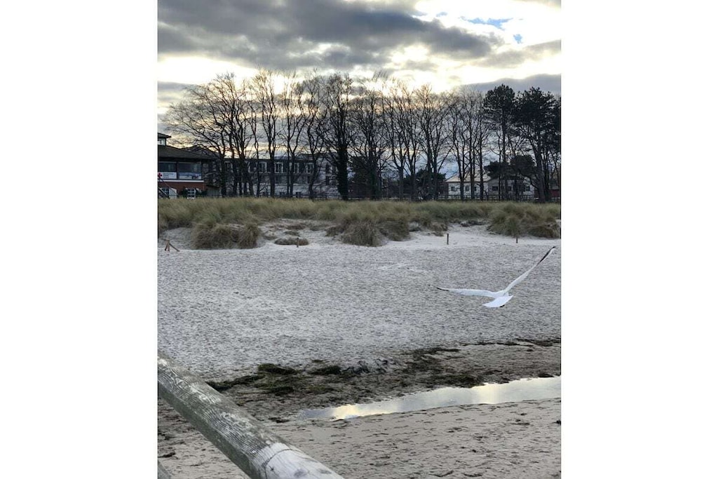 15171 - Niet-getagd