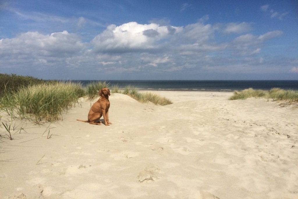 129116 - Niet-getagd