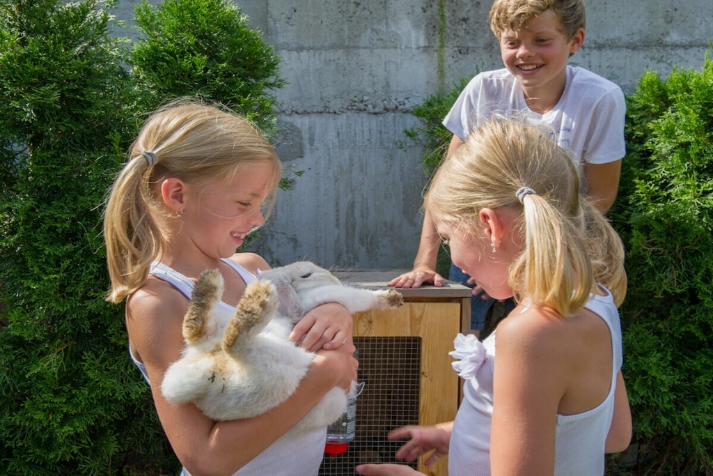 57269 - Niet-getagd