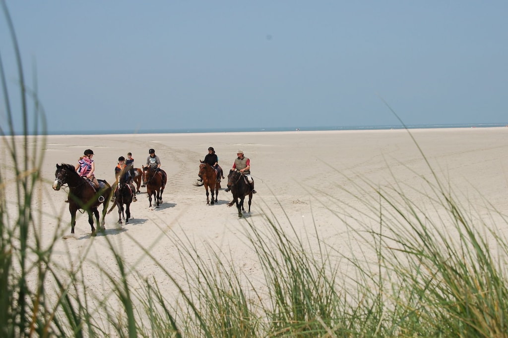 169754 - Niet-getagd