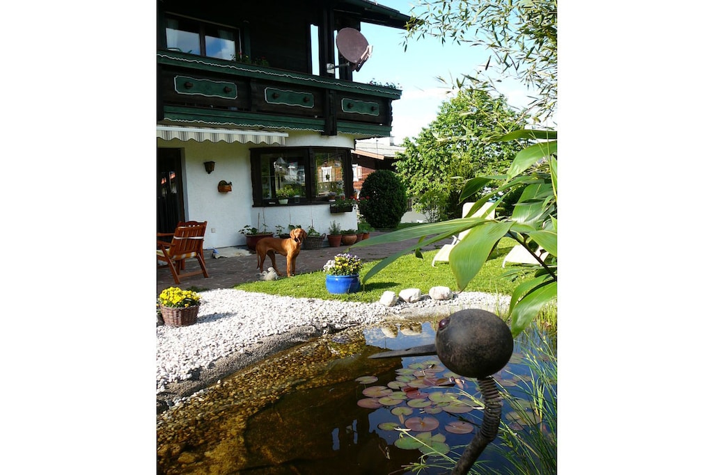 37086 - Niet-getagd