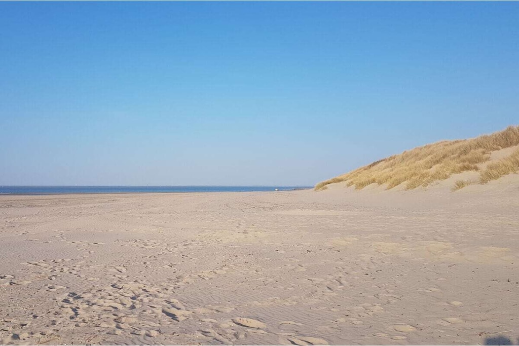 55481 - Niet-getagd