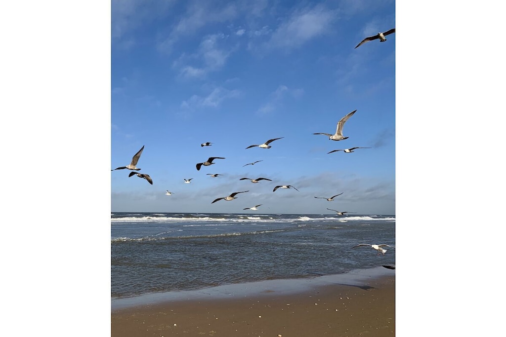 55481 - Niet-getagd