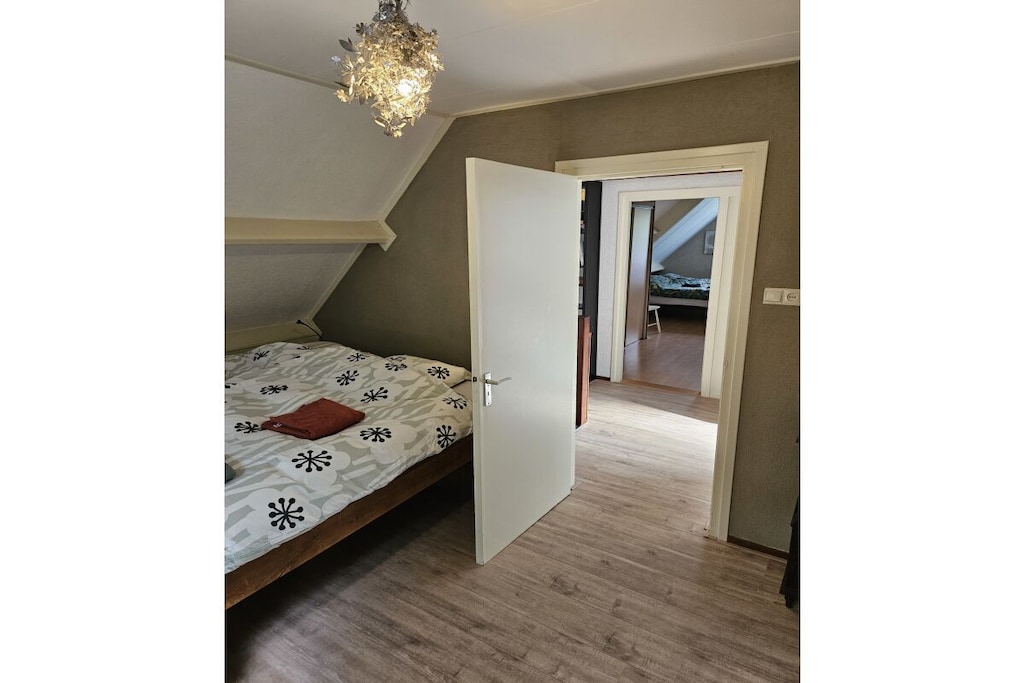 55481 - Niet-getagd