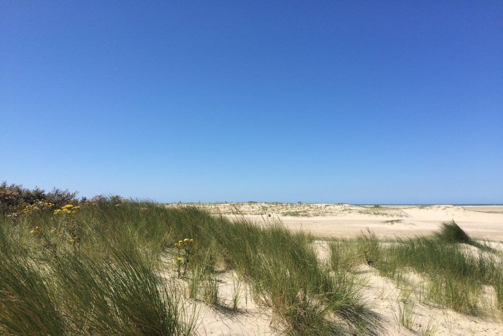 55481 - Niet-getagd