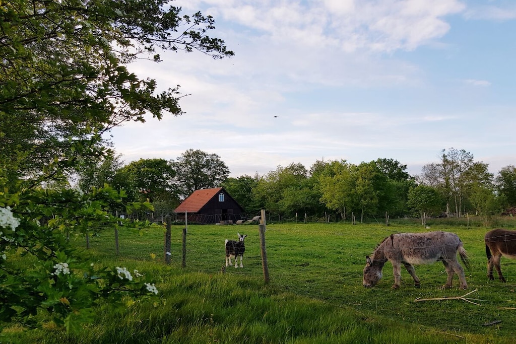298392 - Niet-getagd