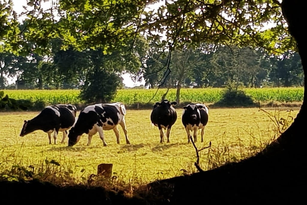 298392 - Niet-getagd