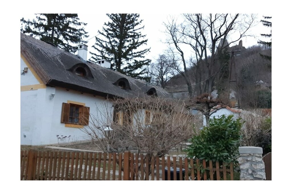 225296 - Nicht zugeordnet