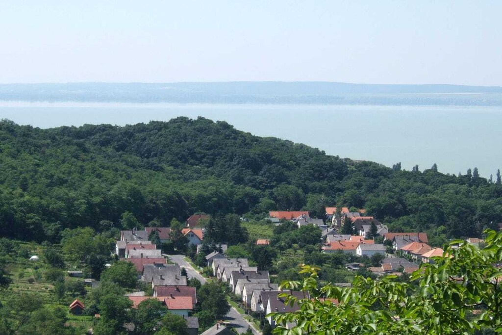 225296 - Nicht zugeordnet