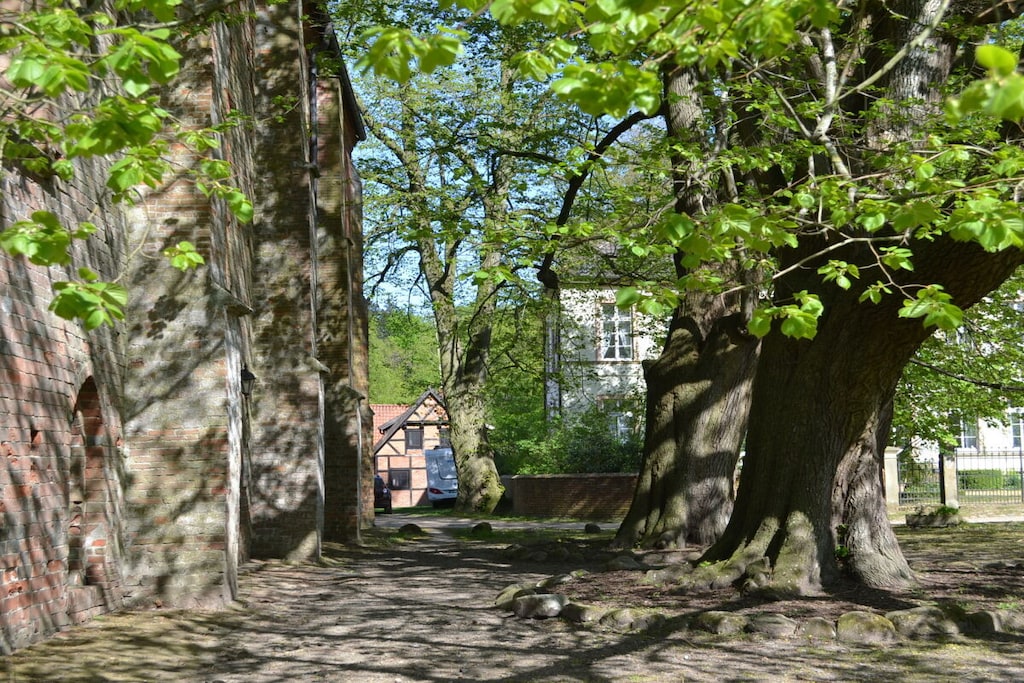 55591 - Niet-getagd