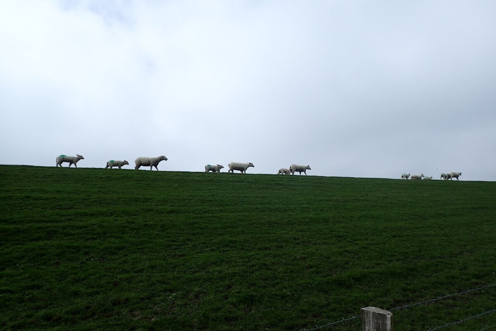 138143 - Niet-getagd