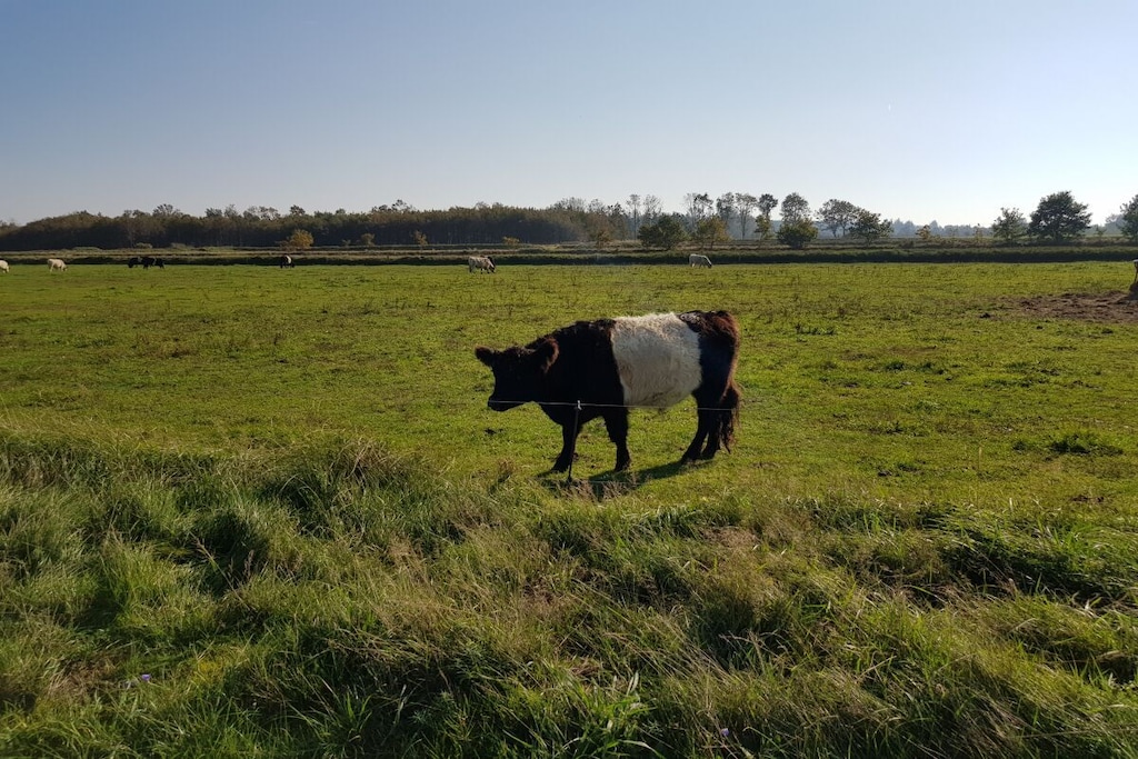 138143 - Niet-getagd