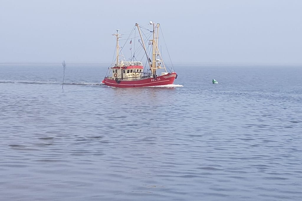 138143 - Niet-getagd