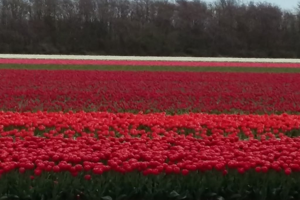 165857 - Niet-getagd