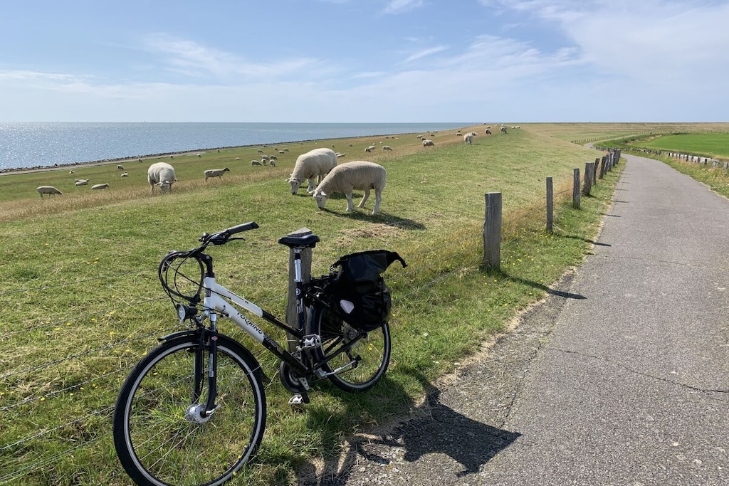 115600 - Niet-getagd