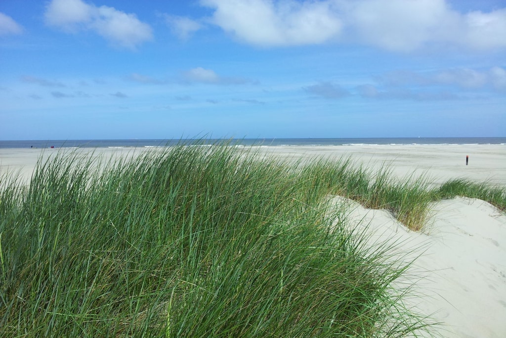 107137 - Niet-getagd