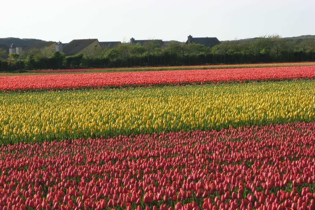 5492 - Niet-getagd
