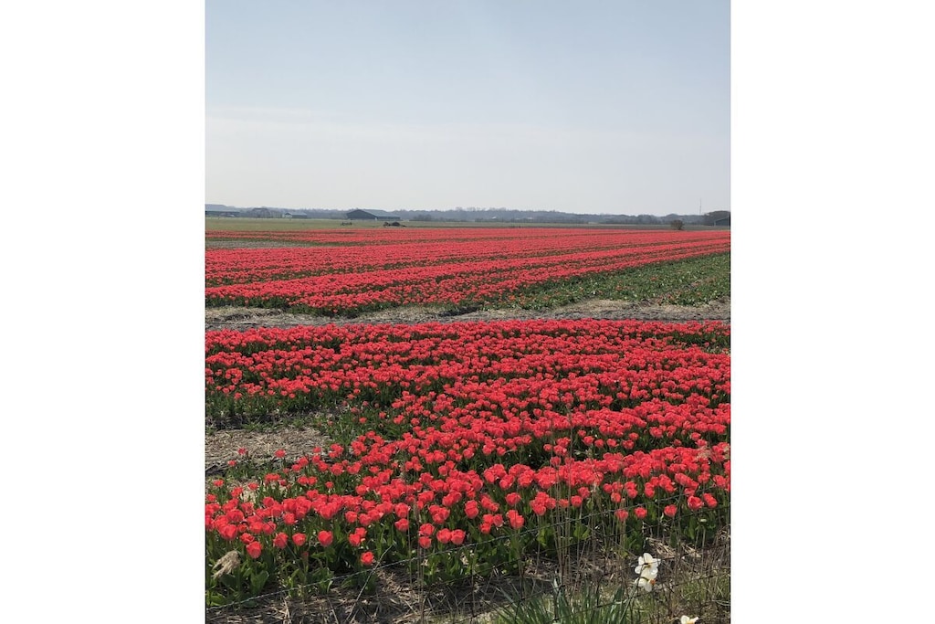 164191 - Niet-getagd