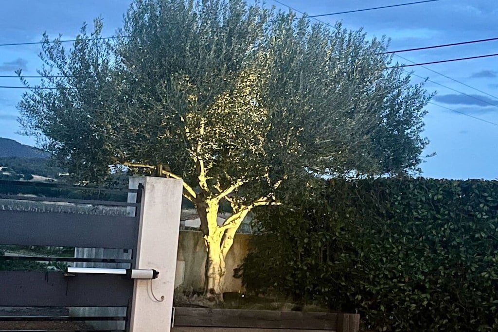 763206 - Non tagué