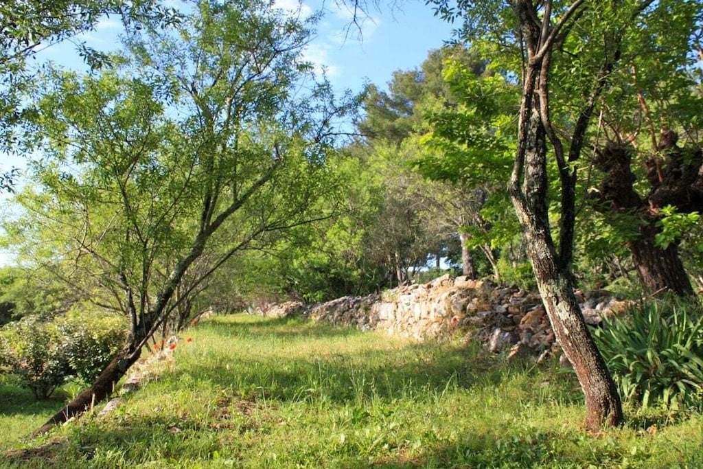 334968 - Non tagué