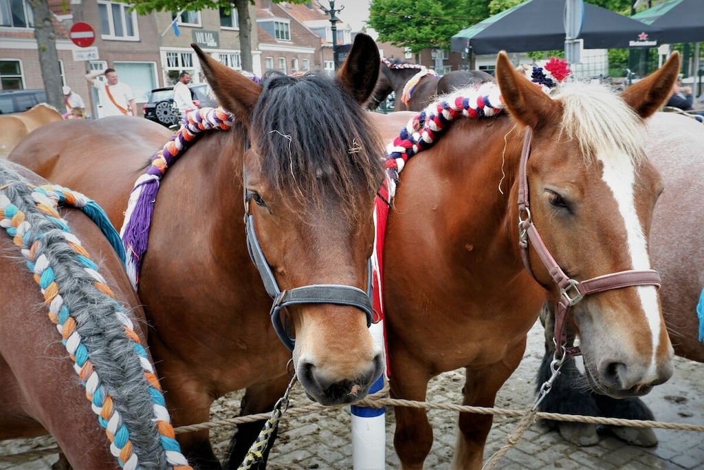 74960 - Niet-getagd