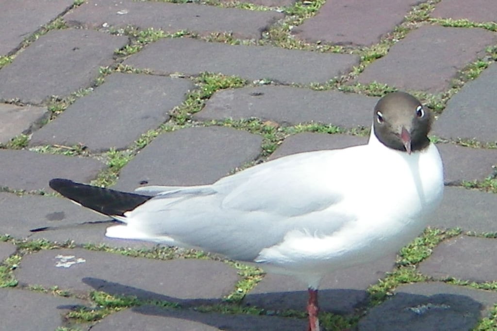 61261 - Nicht zugeordnet