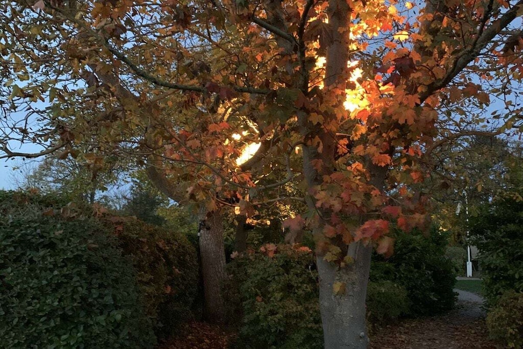 185537 - Nicht zugeordnet