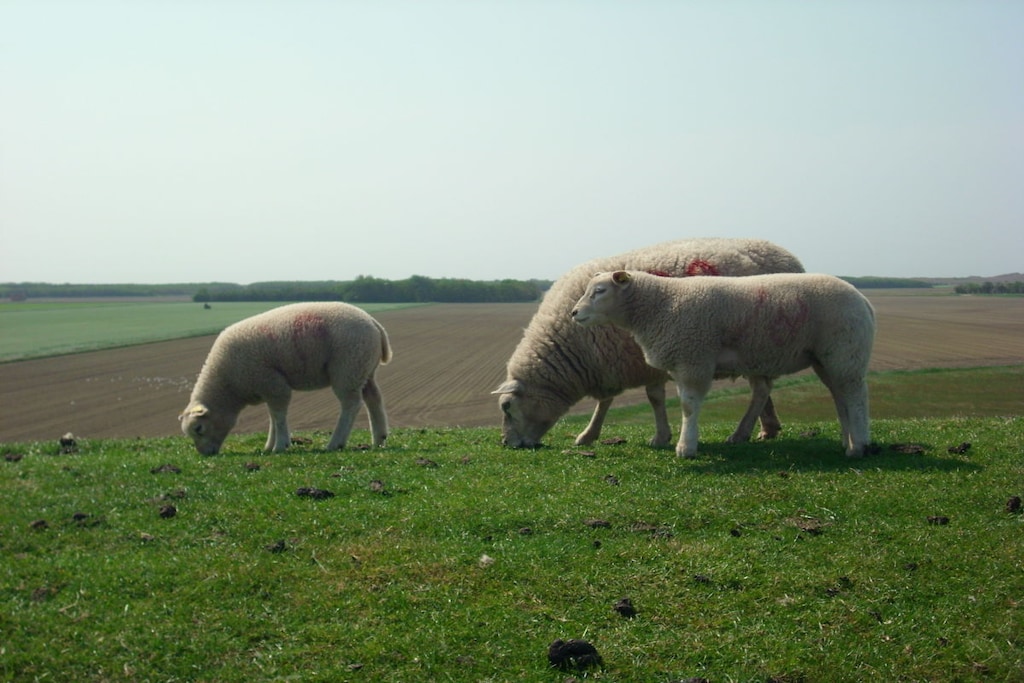222816 - Niet-getagd